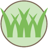 Commercial Lawn Care Pros