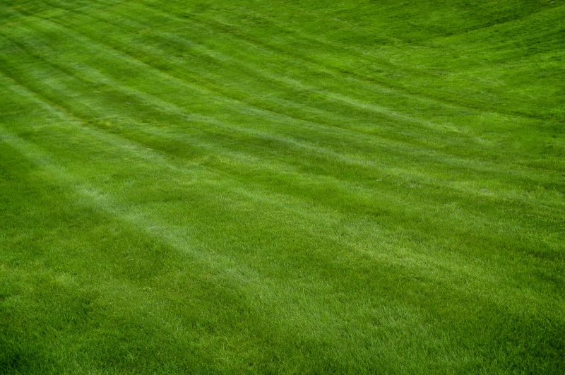 Lush Commercial Lawns