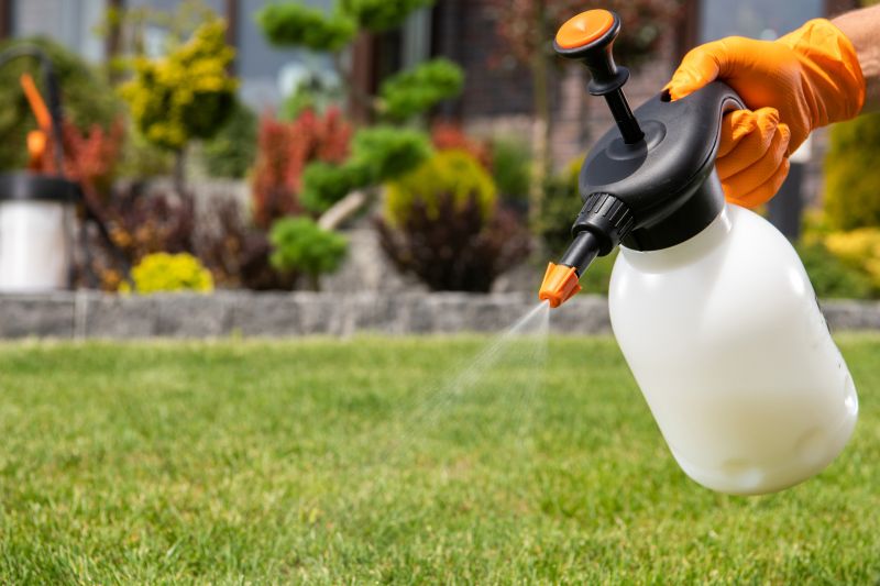 Yard Fertilization in Honolulu, HI